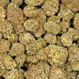 Lemon Sour Diesel