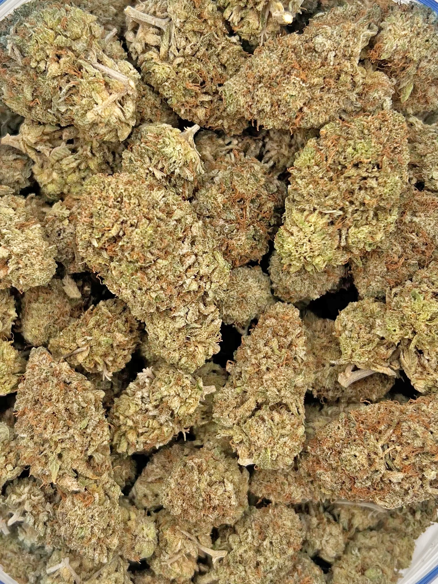 Super Silver Haze strains